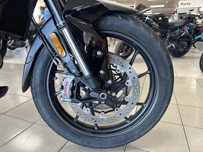 2023 Triumph Tiger 900 GT Pro Tiger Black