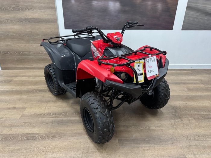 2025 Yamaha 2025 Yamaha 110CC YFM110RS