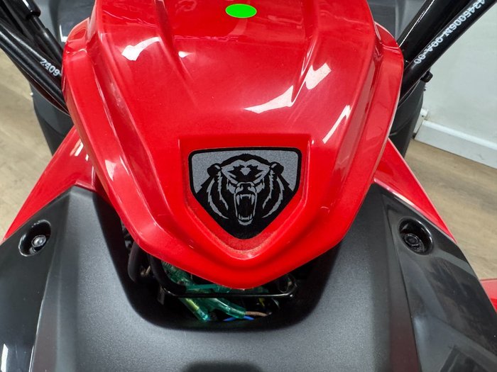 2025 Yamaha 2025 Yamaha 110CC YFM110RS