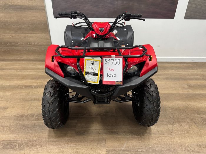 2025 Yamaha 2025 Yamaha 110CC YFM110RS