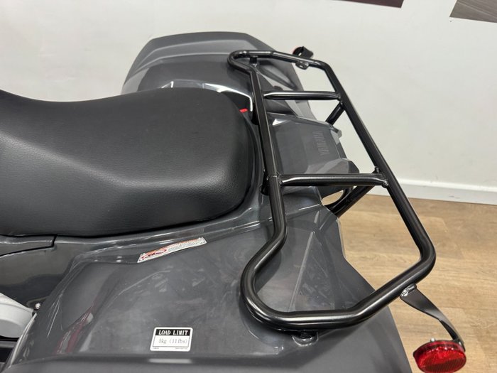 2025 Yamaha 2025 Yamaha 110CC YFM110RS