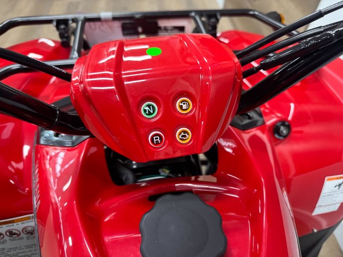 2025 Yamaha 2025 Yamaha 110CC YFM110RS