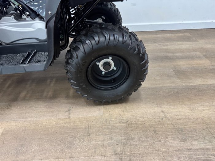 2025 Yamaha 2025 Yamaha 110CC YFM110RS