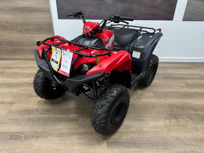 2025 Yamaha 2025 Yamaha 110CC YFM110RS