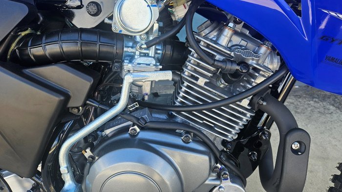 2026 Yamaha TTR125LWE Blue