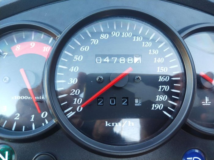 2019 Kawasaki KLR650 KLR Black