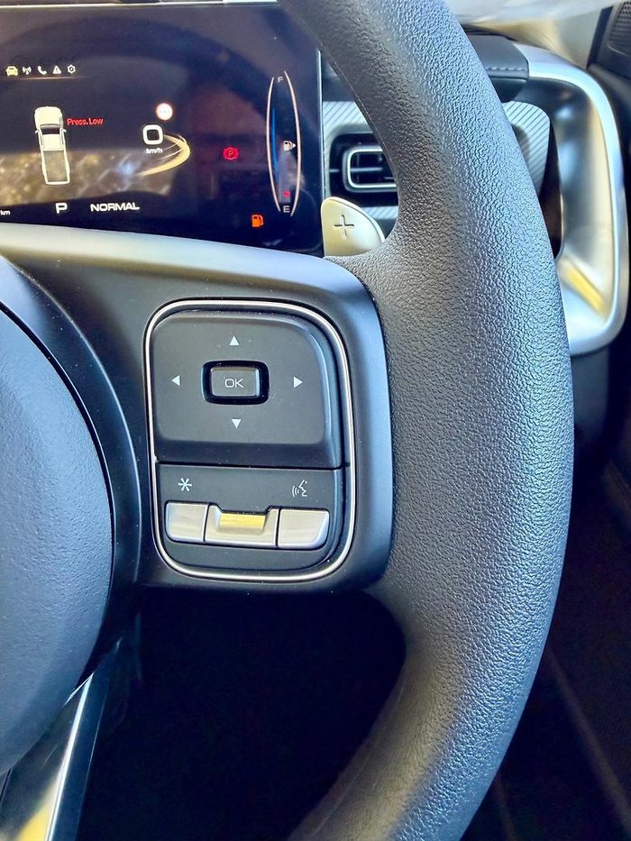 2025 GWM Cannon Premium