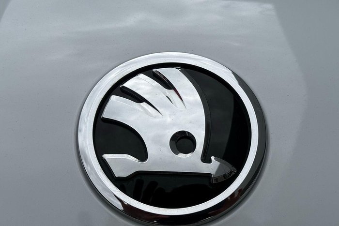 2019 SKODA Karoq 110TSI