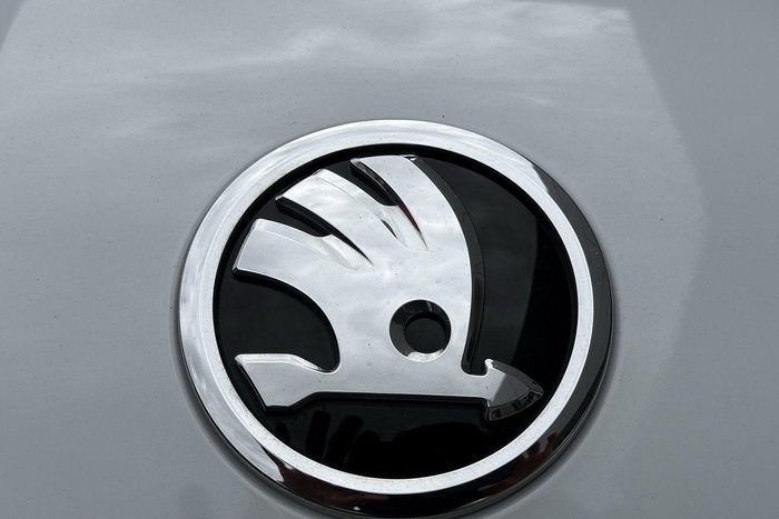 2019 SKODA Karoq 110TSI