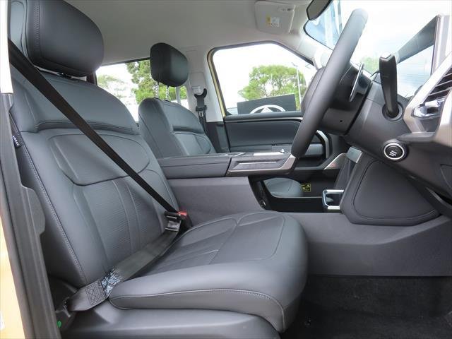 2025 LDV Terron 9 Evolve