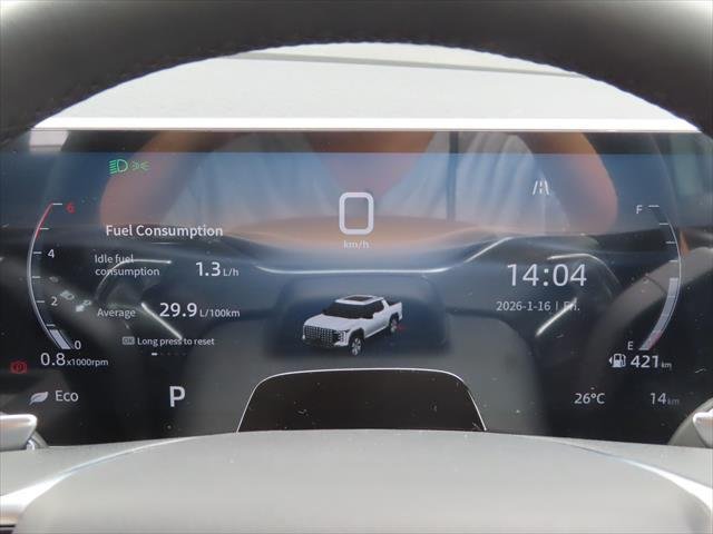 2025 LDV Terron 9 Evolve