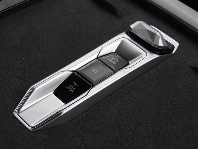 2025 LDV Terron 9 Evolve