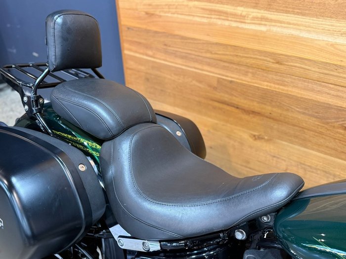 2019 Harley-davidson FLSB SPORT GLIDE Green