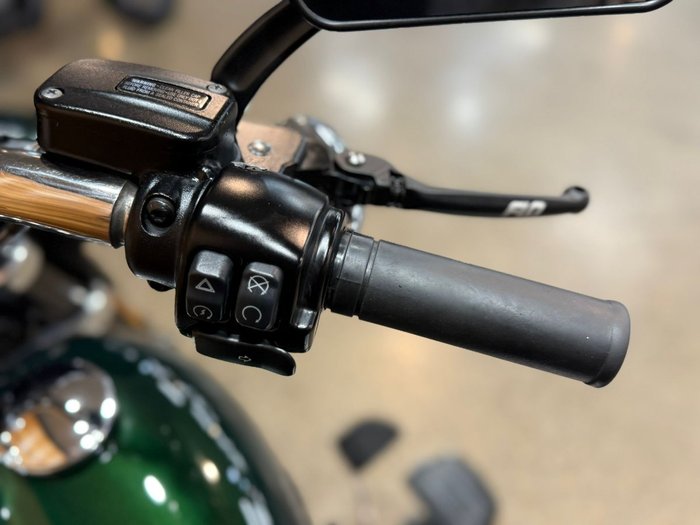 2019 Harley-davidson FLSB SPORT GLIDE Green