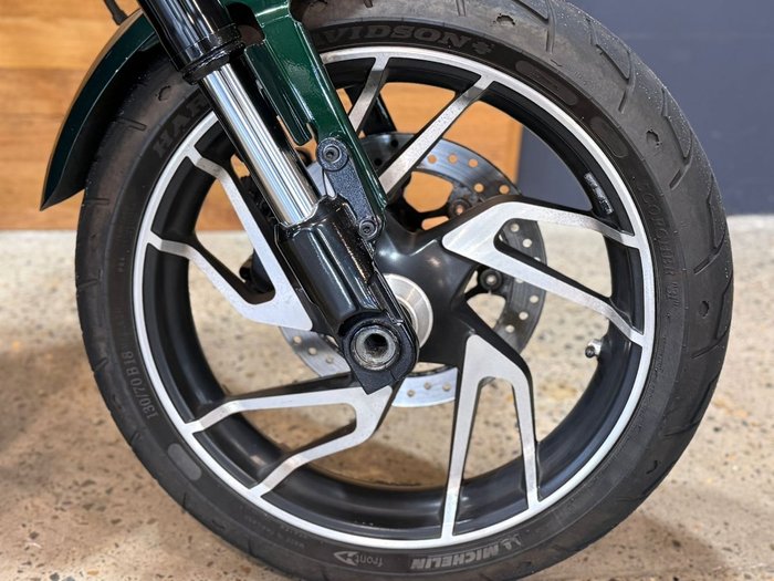 2019 Harley-davidson FLSB SPORT GLIDE Green