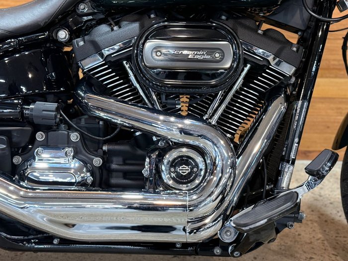 2019 Harley-davidson FLSB SPORT GLIDE Green