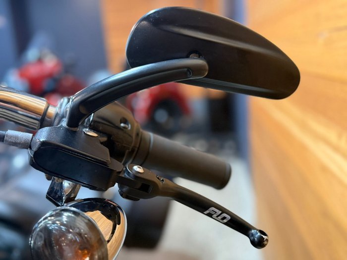 2019 Harley-davidson FLSB SPORT GLIDE Green