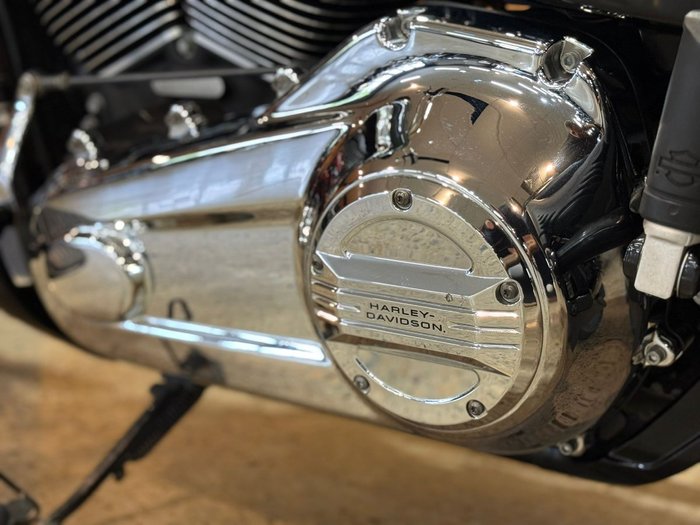 2019 Harley-davidson FLSB SPORT GLIDE Green