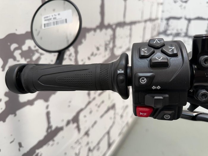 2023 Triumph Trident 660 Trident Silver