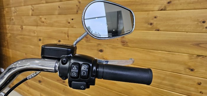 2018 HARLEY-DAVIDSON FLFBS FAT BOY S (114)