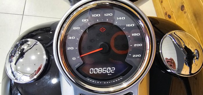 2018 HARLEY-DAVIDSON FLFBS FAT BOY S (114)