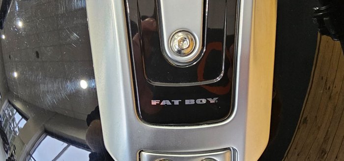 2018 HARLEY-DAVIDSON FLFBS FAT BOY S (114)