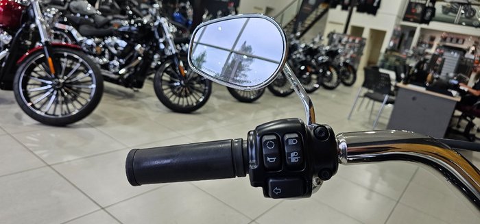 2018 HARLEY-DAVIDSON FLFBS FAT BOY S (114)