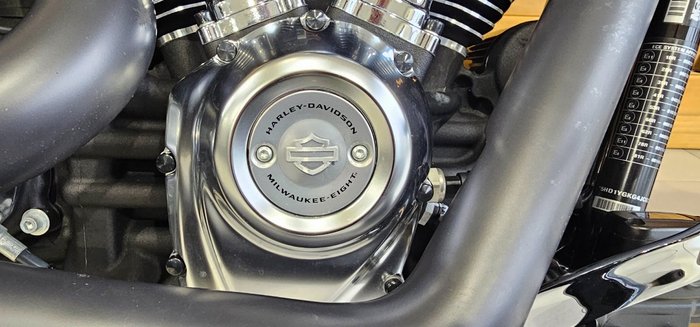 2018 HARLEY-DAVIDSON FLFBS FAT BOY S (114)