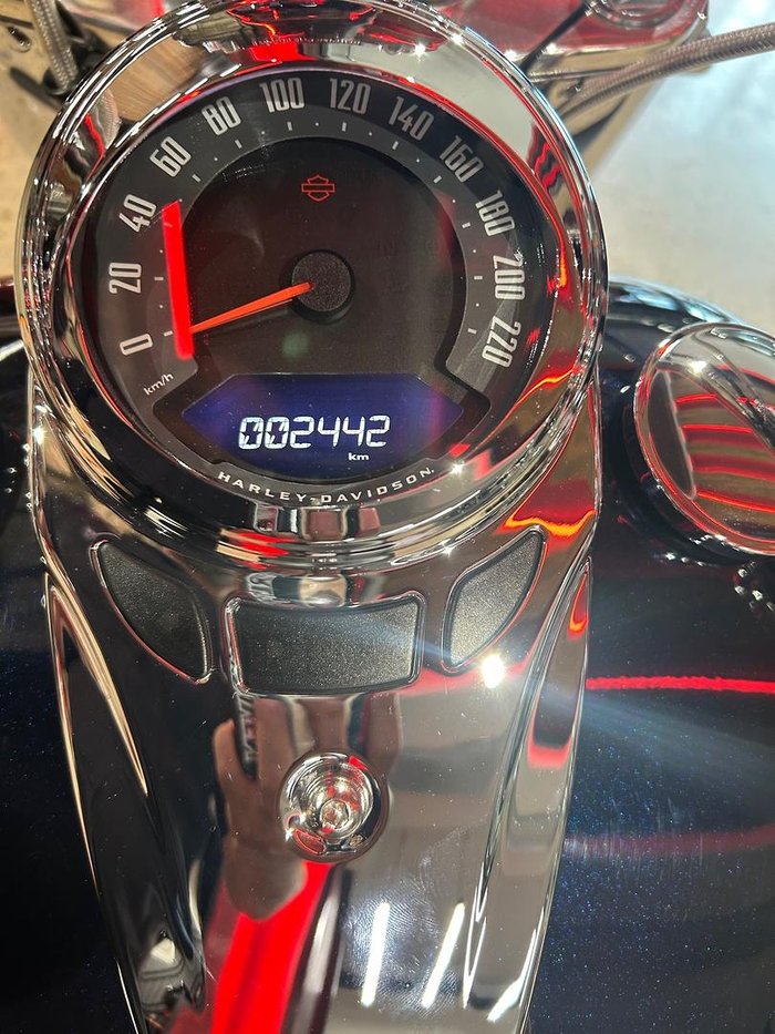 2020 Harley-Davidson Deluxe 107 (FLDE) Softail Blue