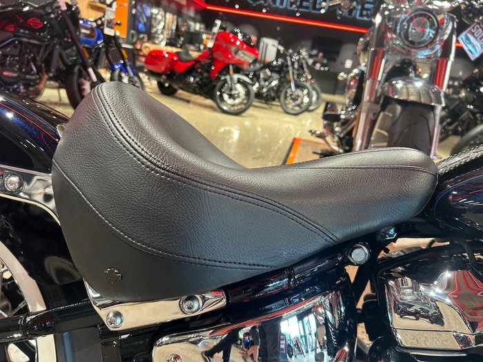 2020 Harley-Davidson Deluxe 107 (FLDE) Softail Blue