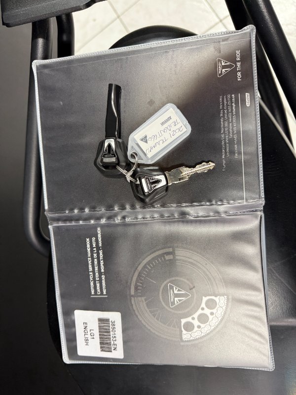 2022 TRIUMPH TRIDENT 660 White