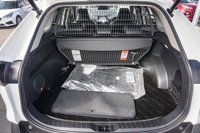 2021 Toyota RAV4 Cruiser