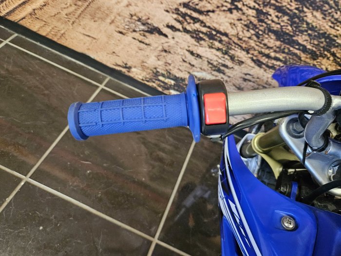 2009 Yamaha TTR50E BLUE