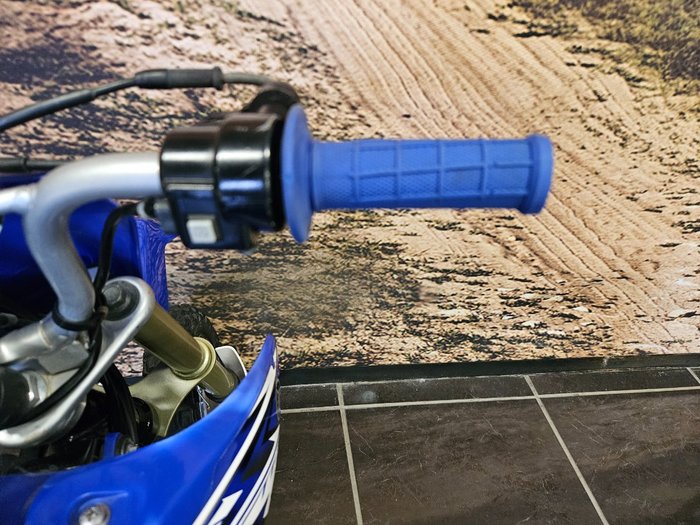 2009 Yamaha TTR50E BLUE