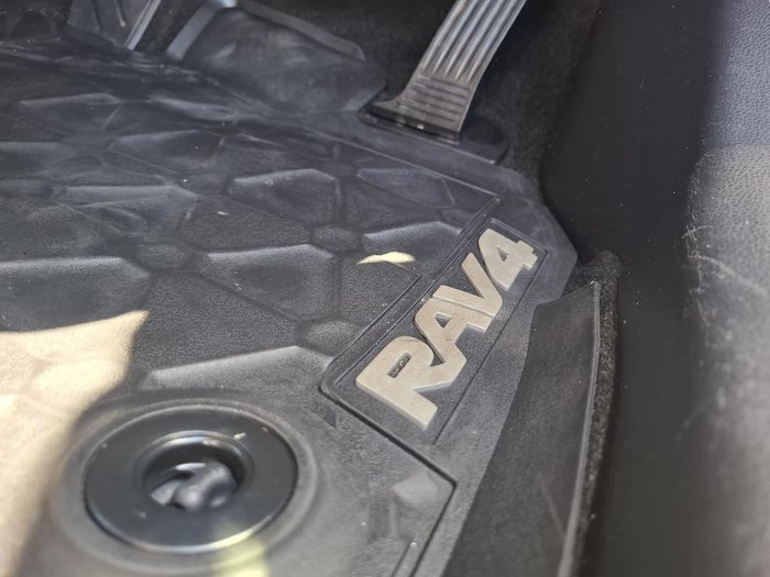 2020 Toyota RAV4 Cruiser