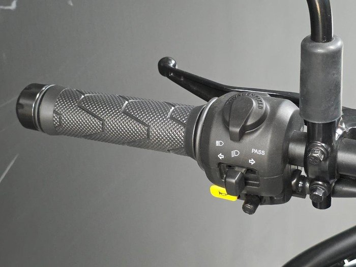 2025 Royal Enfield 2025 Royal Enfield 450CC HIMALAYAN 450 Road Silver