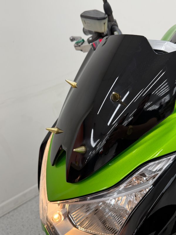 2010 Kawasaki Z1000 Green