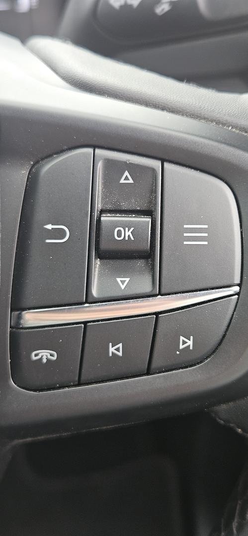 2025 Ford Everest Trend