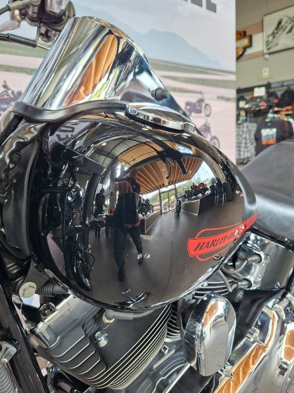 2008 HARLEY-DAVIDSON FXST SOFTAIL STANDARD