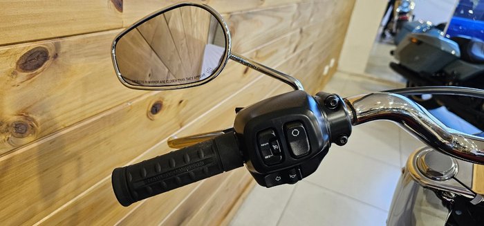 2025 HARLEY-DAVIDSON FLFB FAT BOY (117)