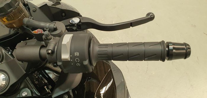 2026 Kawasaki Ninja 1100SX Ninja Bronze