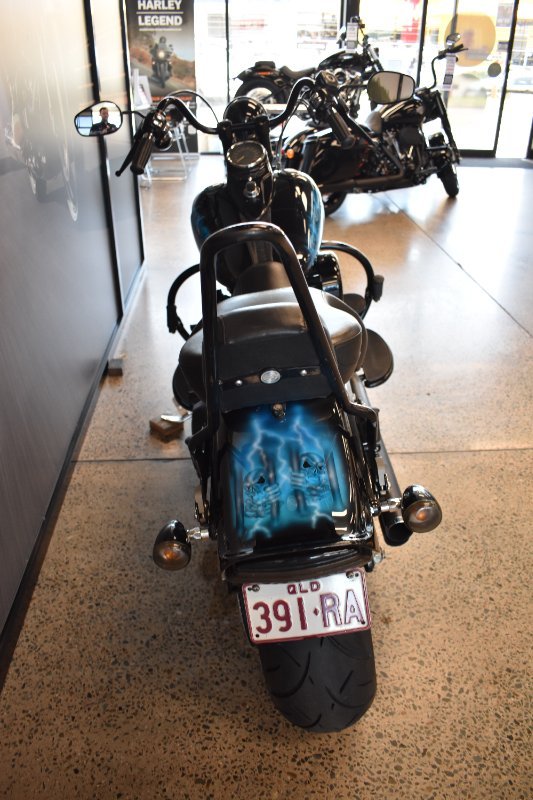 2009 HARLEY-DAVIDSON FLSTSB SOFTAIL CROSS BONES