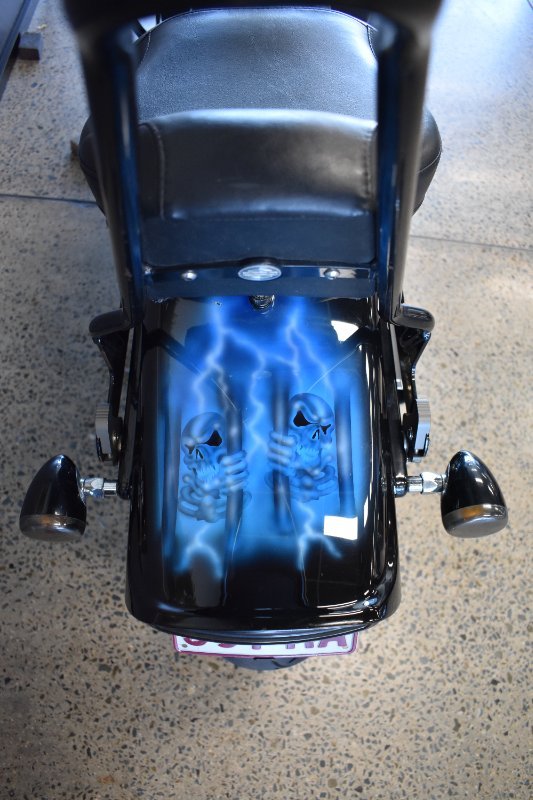 2009 HARLEY-DAVIDSON FLSTSB SOFTAIL CROSS BONES