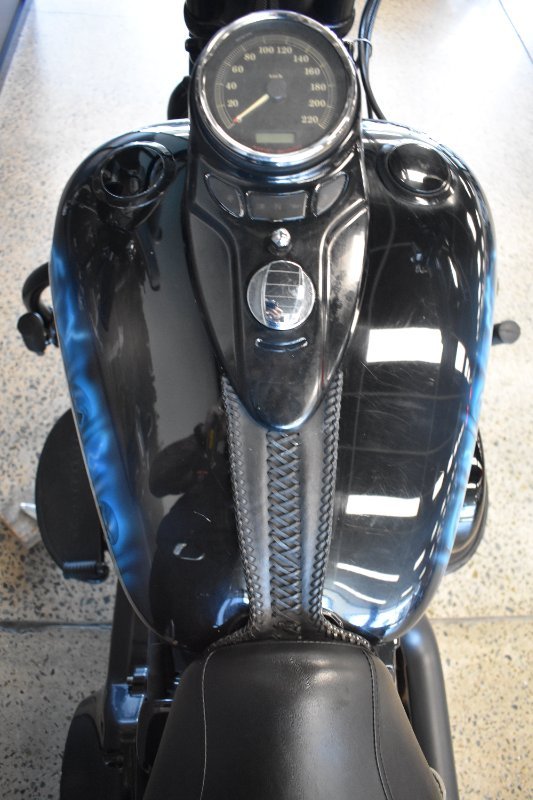 2009 HARLEY-DAVIDSON FLSTSB SOFTAIL CROSS BONES