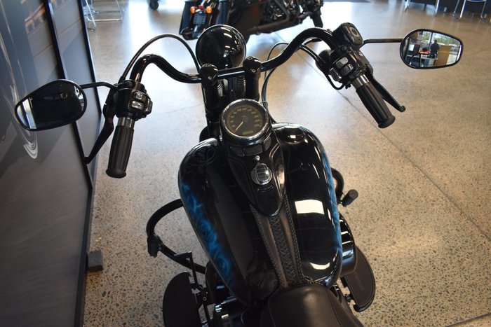 2009 HARLEY-DAVIDSON FLSTSB SOFTAIL CROSS BONES