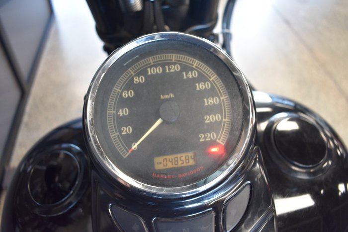 2009 HARLEY-DAVIDSON FLSTSB SOFTAIL CROSS BONES