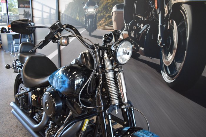 2009 HARLEY-DAVIDSON FLSTSB SOFTAIL CROSS BONES