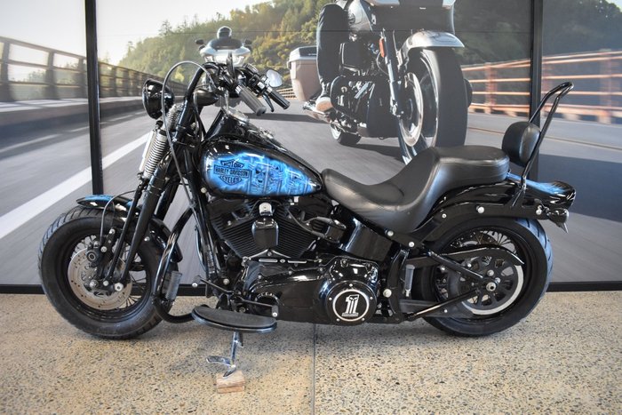 2009 HARLEY-DAVIDSON FLSTSB SOFTAIL CROSS BONES