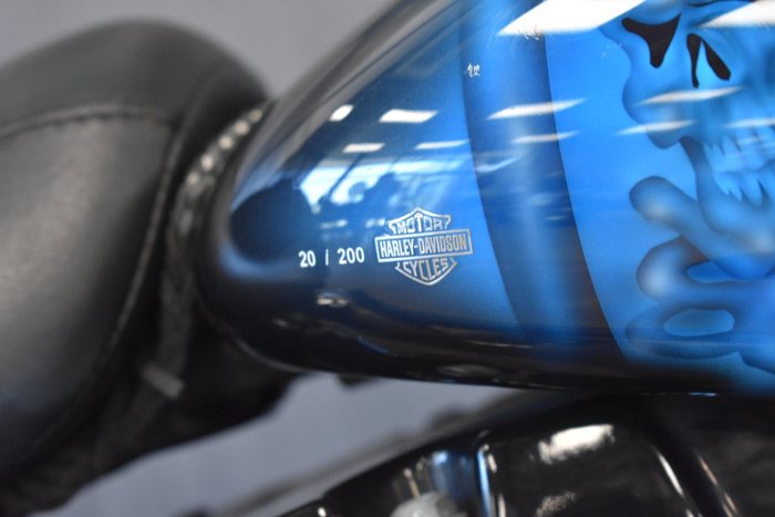 2009 HARLEY-DAVIDSON FLSTSB SOFTAIL CROSS BONES