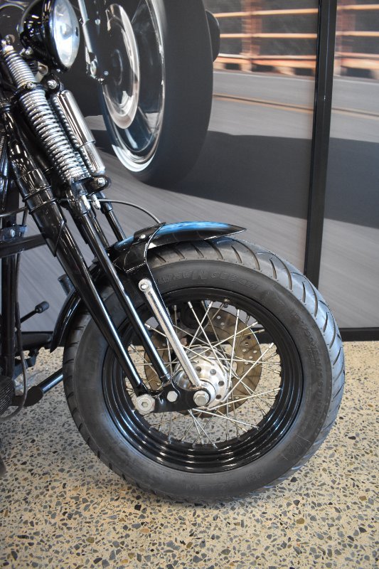 2009 HARLEY-DAVIDSON FLSTSB SOFTAIL CROSS BONES